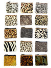 Animal Print Leather Coin Purse Folklore Couture Handbags, Wallets & Cases